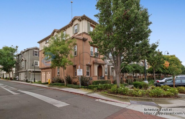 Photo - 137 Burbank St