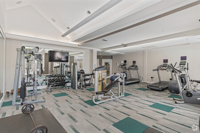 Gimnasio