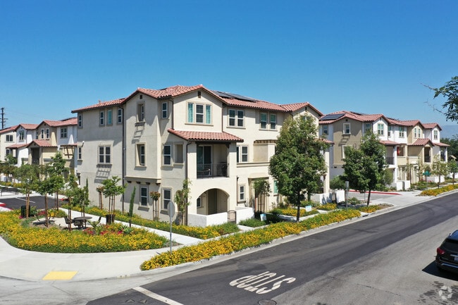 Dahlia Townhomes - Dahlia Townhomes
