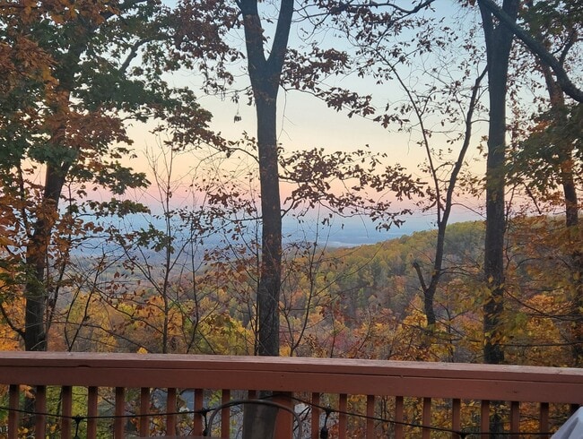 Photo - 651 Tulip Poplar Dr