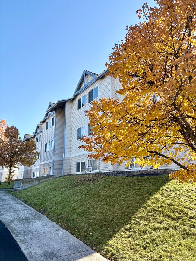 Photo - NORTHWOOD MANOR APTS