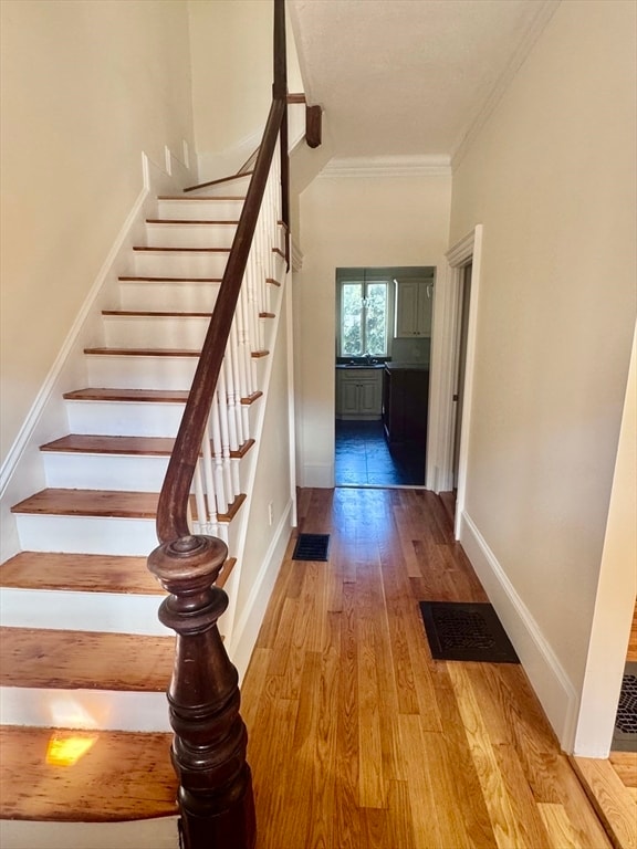 Photo - 14 Whitford St