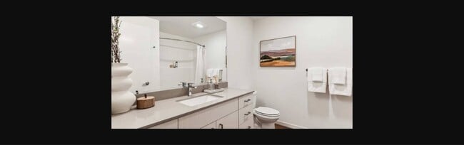 Traxx Apartments