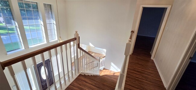 Photo - 2439 Shelby Park Dr