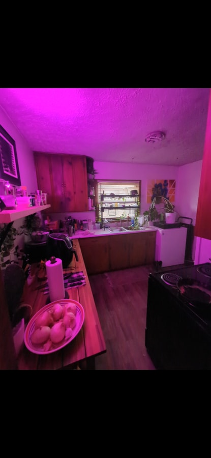 Photo - 2413 Whites Creek Pike