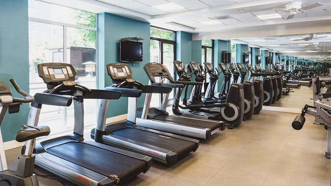 Treadmills and elliptical machines in gym