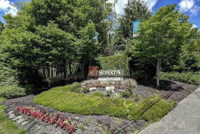 Photo - Pinnacle Sonata