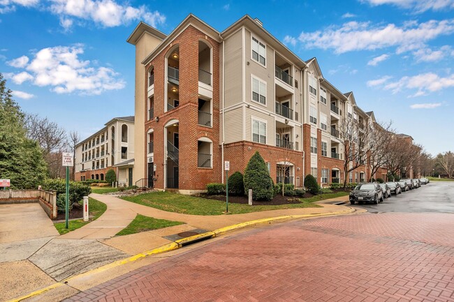 Beautiful 2 Bedroom 2 Bathroom Condo In Mu... - Beautiful 2 Bedroom 2 Bathroom Condo In Mu...