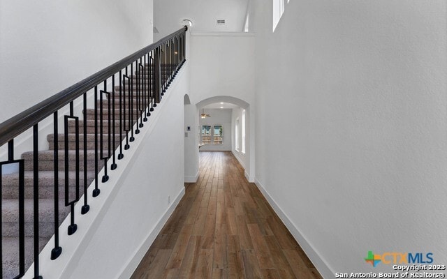 Photo - 1051 Lime Gruene