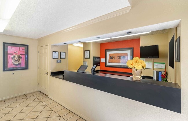 Furnished Studio-Tampa - Brandon