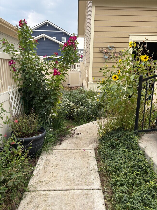 Outside walkway - 11666 Osceola St Unidad Basement apartment