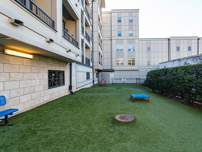 The Apartments at St. Mary's