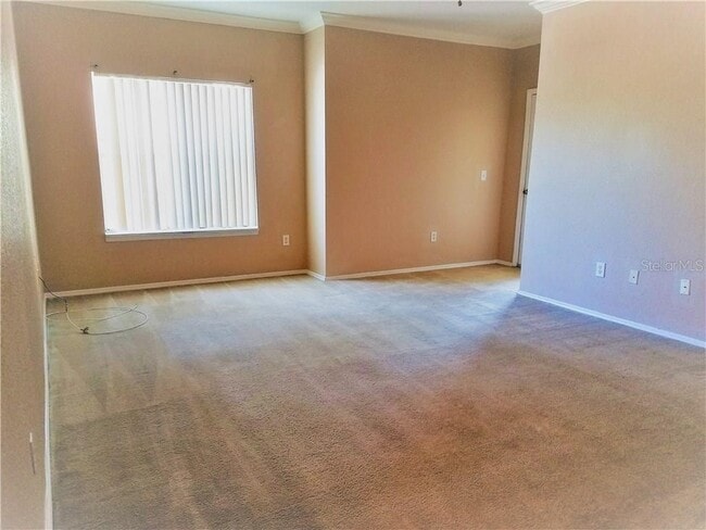 Photo - PROMENADE AT TAMPA PALMS