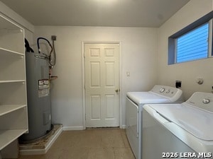 6230 Cypress Rose