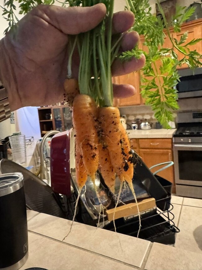 Photo - 2834 Unit #2