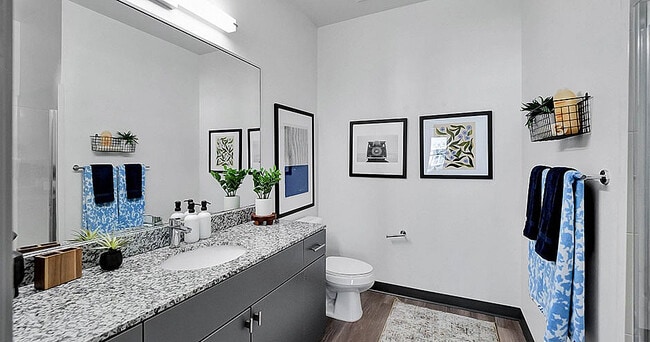 Model-Bathroom-02-The-Rowe-Tallahassee-FL-11