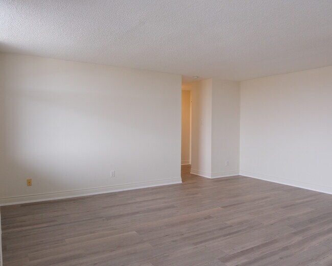 Photo - Tiffany Hill