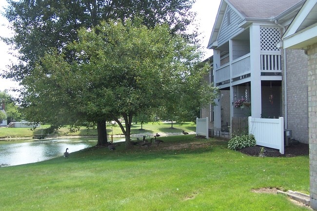 King's Creek Apartments