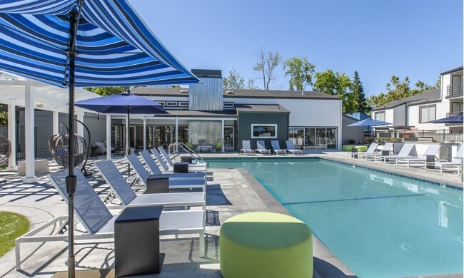 Avana Stoneridge