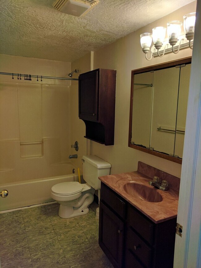 Building Photo - Renovated 4 bedroom House on the South Side Flats!!