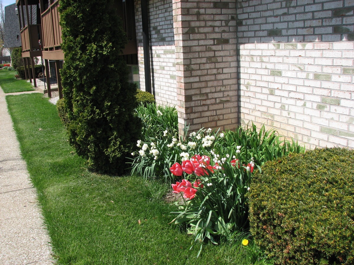 Photo - Concord Apartments