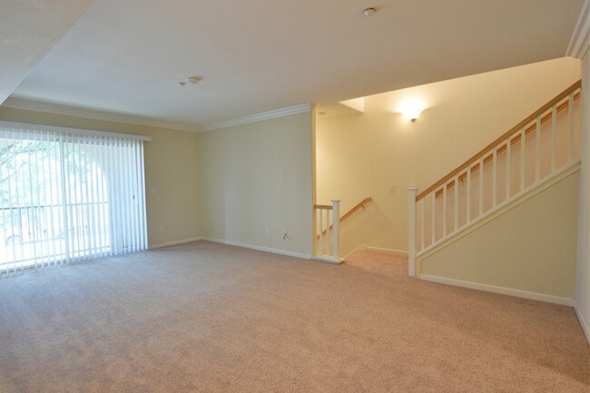 Photo - Clean, Classic Contemporary 3 Bedroom + 2 ...