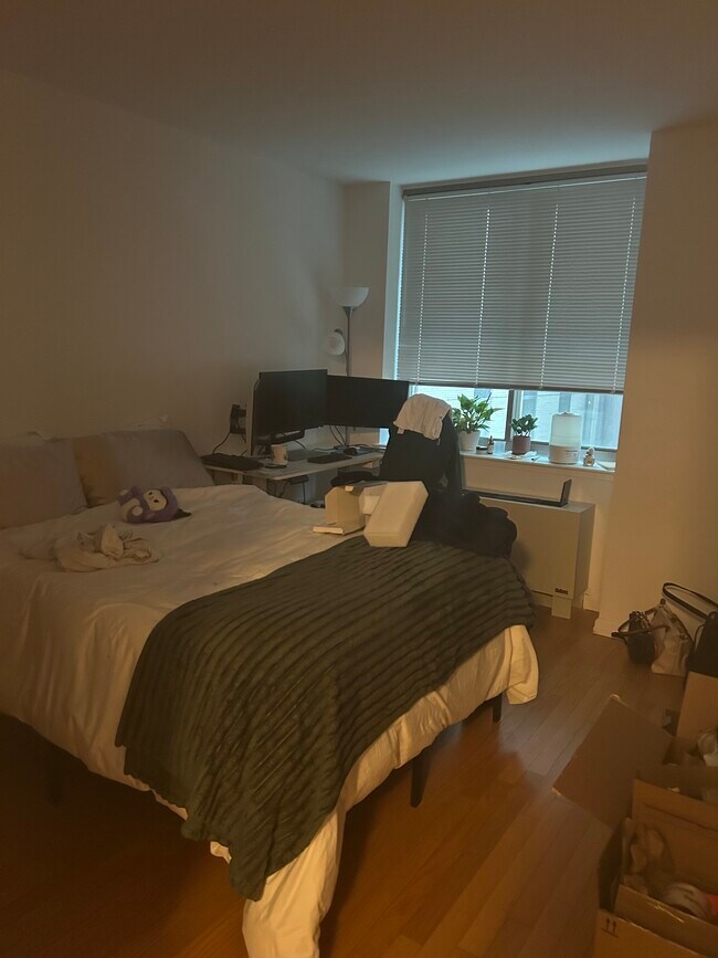 53 Nassau St Unit 5
