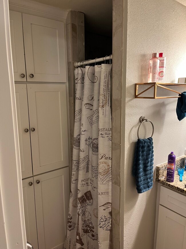 Bathroom Sink & Shower - 1605 Bardfield Ave