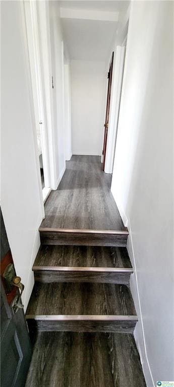 Photo - 915 E Hamilton St Unit 2nd FL