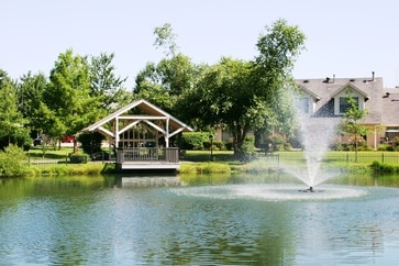 Pond