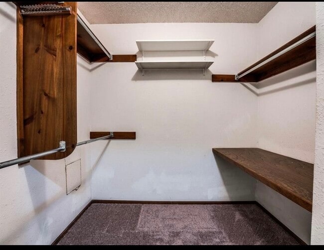 Photo - 4605 Dove Tree Ln