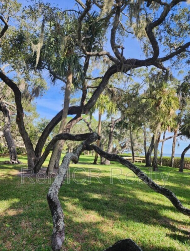 Photo - 1111 N Bayshore Blvd