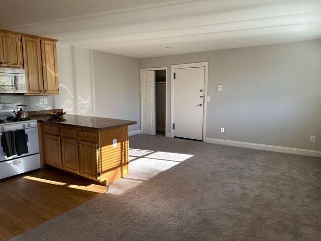 Photo - Metropolitan Manayunk Hill