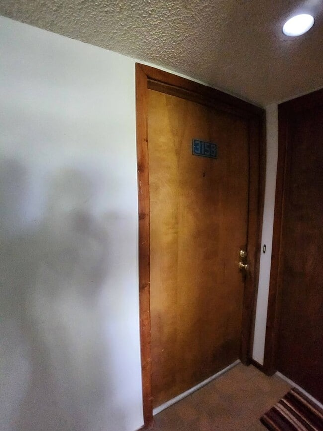 Photo - Pinon Condo Unit #3158