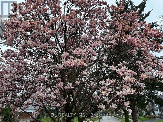 Photo - 23 Pineway Blvd