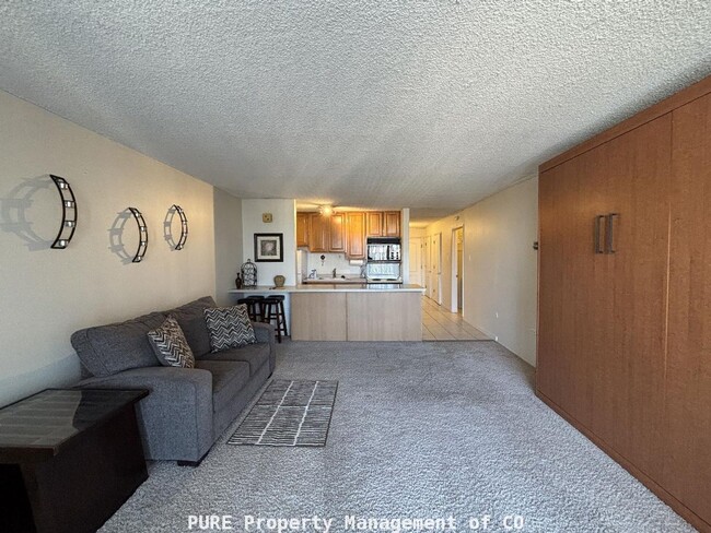 Photo - Large furnished studio apartment!