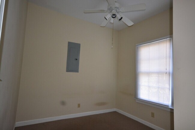 Photo - Cute As A Button - Available July 5, 2024