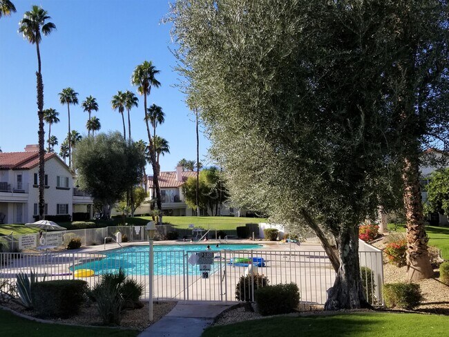 319 Vista Royale Dr