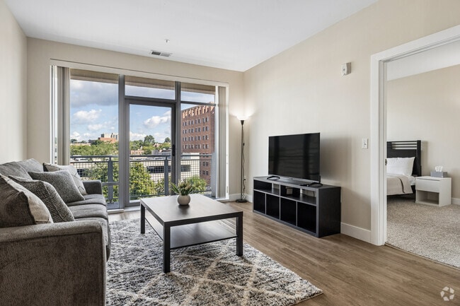 1BR, 1BA - 536SF - Living Room