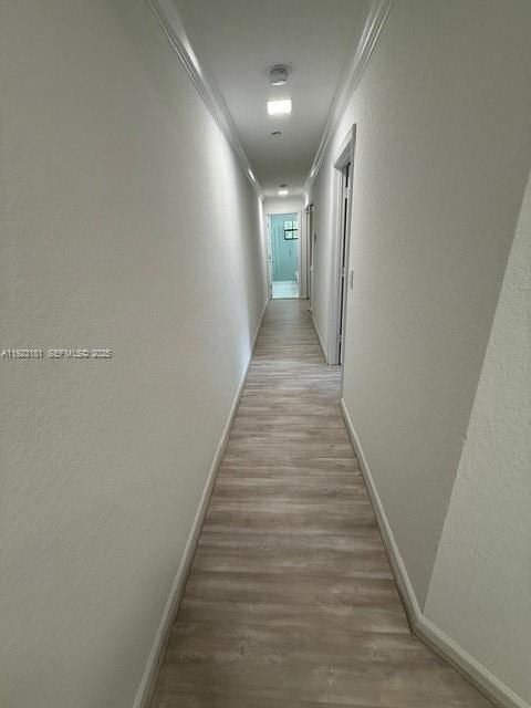 Photo - 3872 Tree Top Dr