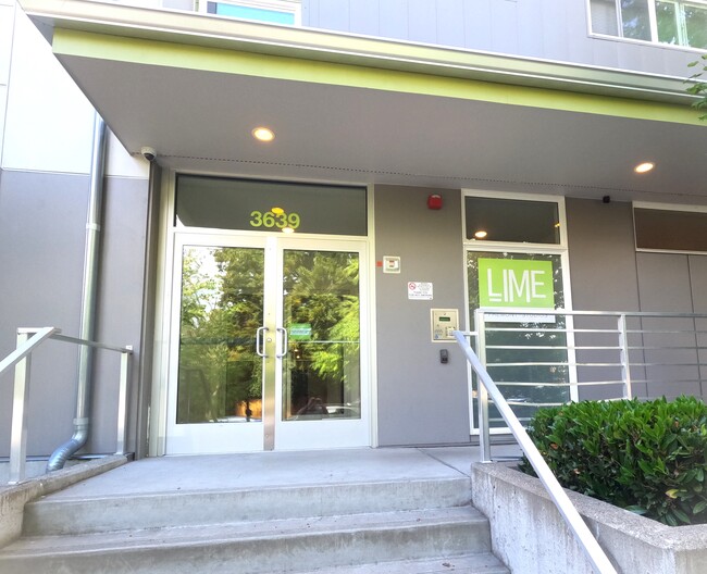 Lime Studios - Lime Studios Apartments Unit 201