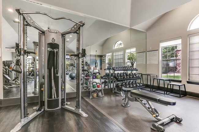 Gimnasio - Dove Valley
