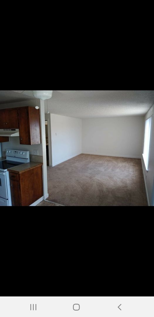 Photo - Two Bedroom Apt Homes - Central Mill Plane... Unit 2