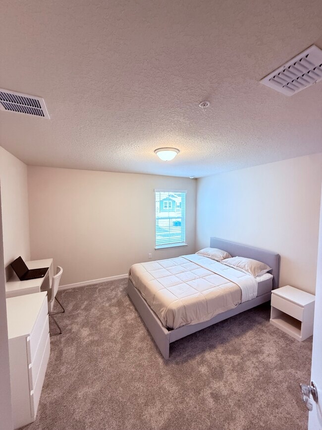 Third Room - 105 Violet Vine Ln