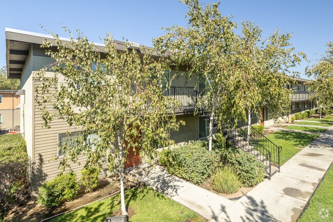 Primary Photo - Los Olivos