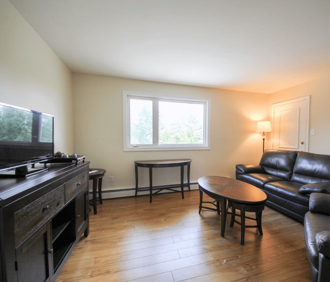 Photo - Venus Apartments