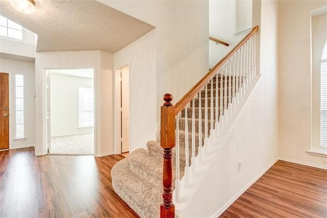 Photo - 4500 Shady Hollow Dr