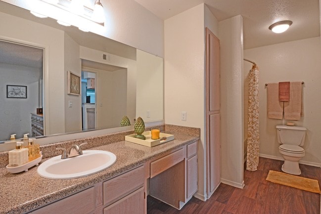 Photo - Galleria Palms Apartments