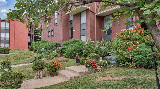 Park South