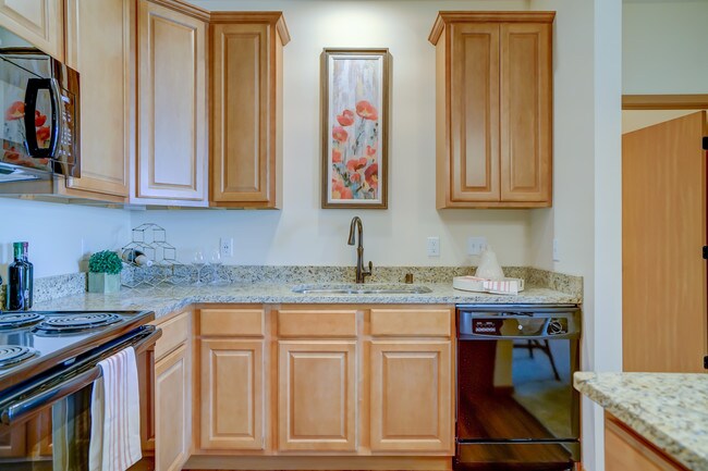 1BD Indigo- Kitchen